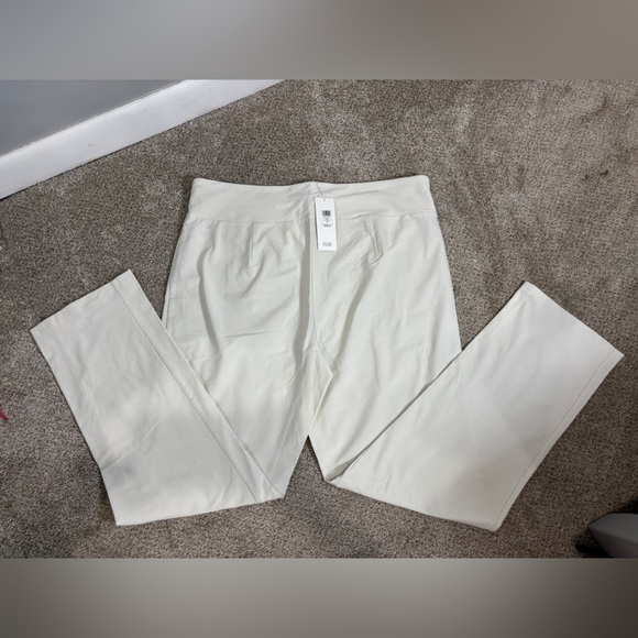 NWT Eileen Fisher Washable Stretch Crepe Pull On Bone Color Slim Ankle Pant 1X. - Picture 1 of 11